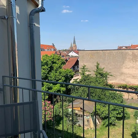 Casa vacanze Gruppen Und Familienstadthaus 5-6 Betten, 4 Baeder, 2 Terrassen Und Balkon Neustadt an der Weinstraße