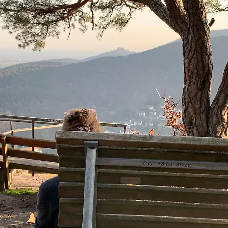 Gruppen Und Familienstadthaus 5-6 Betten, 4 Baeder, 2 Terrassen Und Balkon