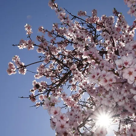 Gruppen Und Familienstadthaus 5-6 Betten, 4 Baeder, 2 Terrassen Und Balkon