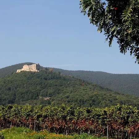 Gruppen Und Familienstadthaus 5-6 Betten, 4 Baeder, 2 Terrassen Und Balkon