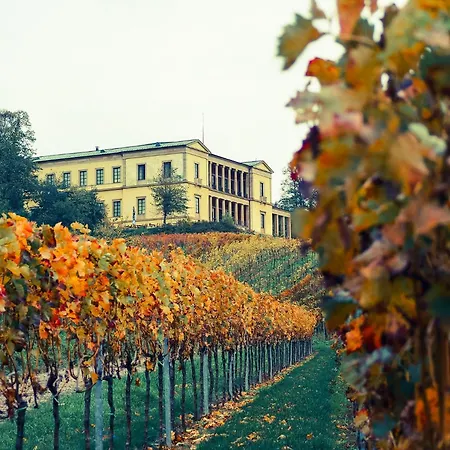 度假居 Gruppen Und Familienstadthaus 5-6 Betten, 4 Baeder, 2 Terrassen Und Balkon Neustadt an der Weinstraße