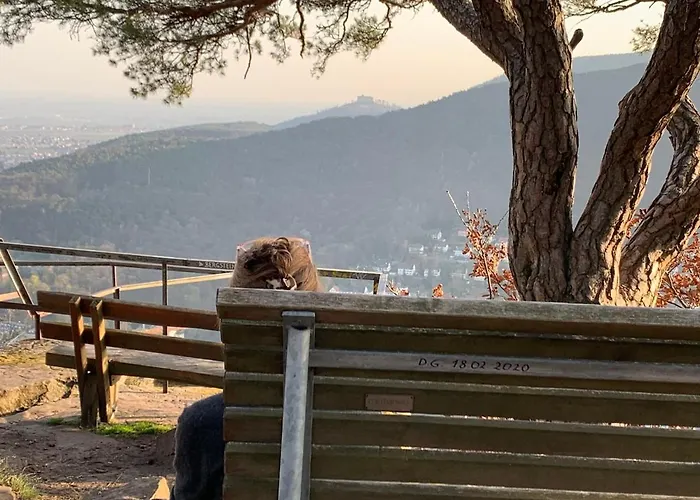 Gruppen Und Familienstadthaus 5-6 Betten, 4 Bäder, 2 Terrassen Und Balkon