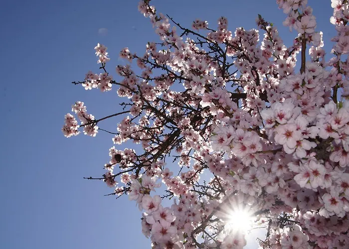 Gruppen Und Familienstadthaus 5-6 Betten, 4 Baeder, 2 Terrassen Und Balkon