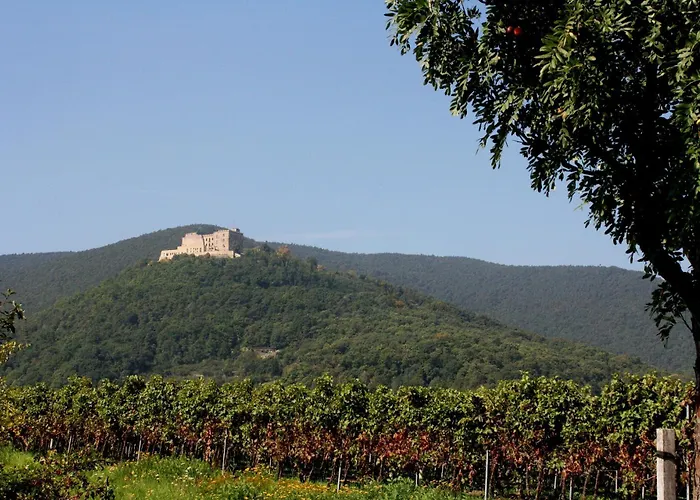Gruppen Und Familienstadthaus 5-6 Betten, 4 Baeder, 2 Terrassen Und Balkon
