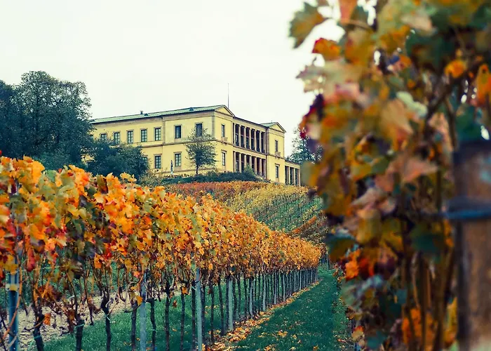 度假居 Gruppen Und Familienstadthaus 5-6 Betten, 4 Baeder, 2 Terrassen Und Balkon Neustadt an der Weinstraße